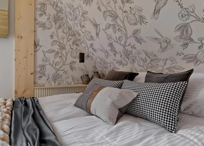 W Rojach, Odkryj-zakopane 扎科帕内